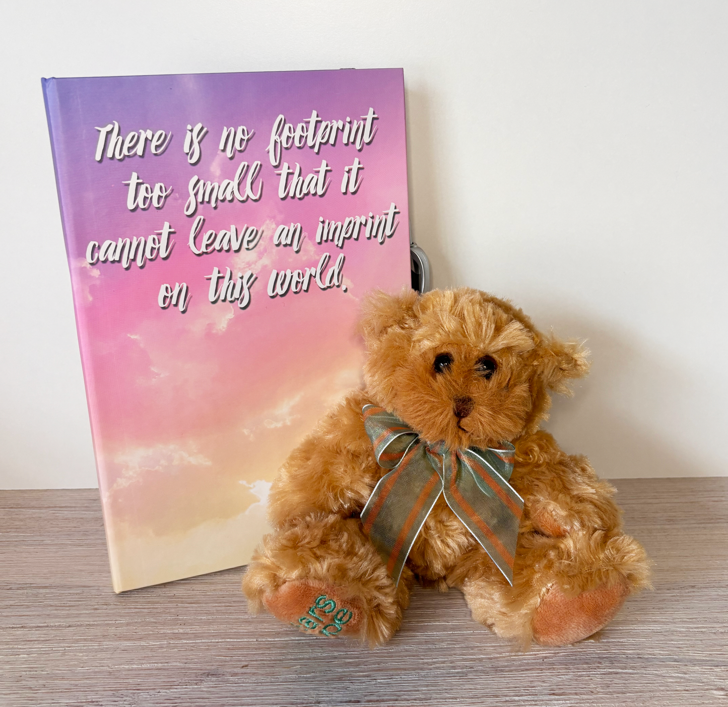 Bear Of Hope 'Hope' & Journal