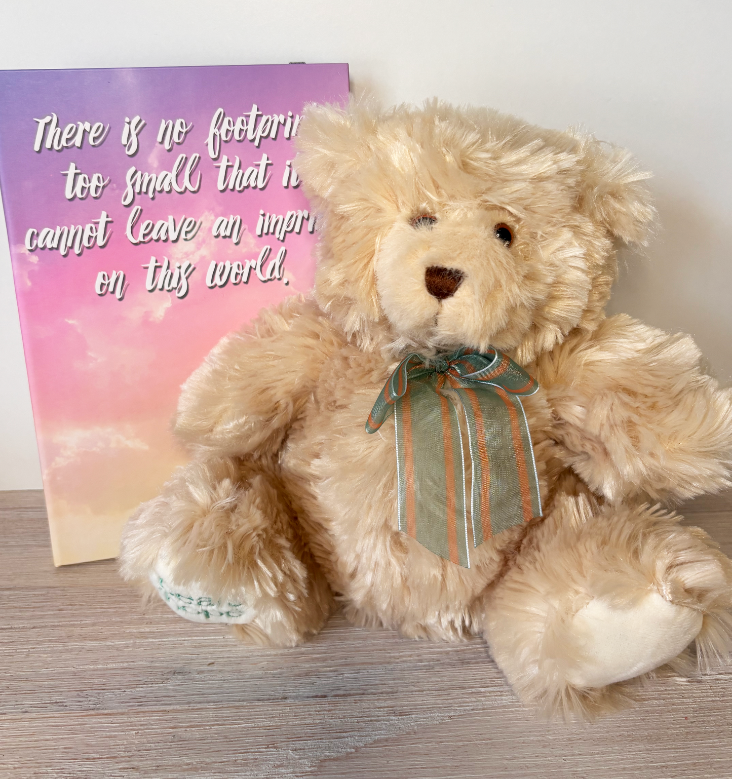 Bear Of Hope 'Sophie' & Journal