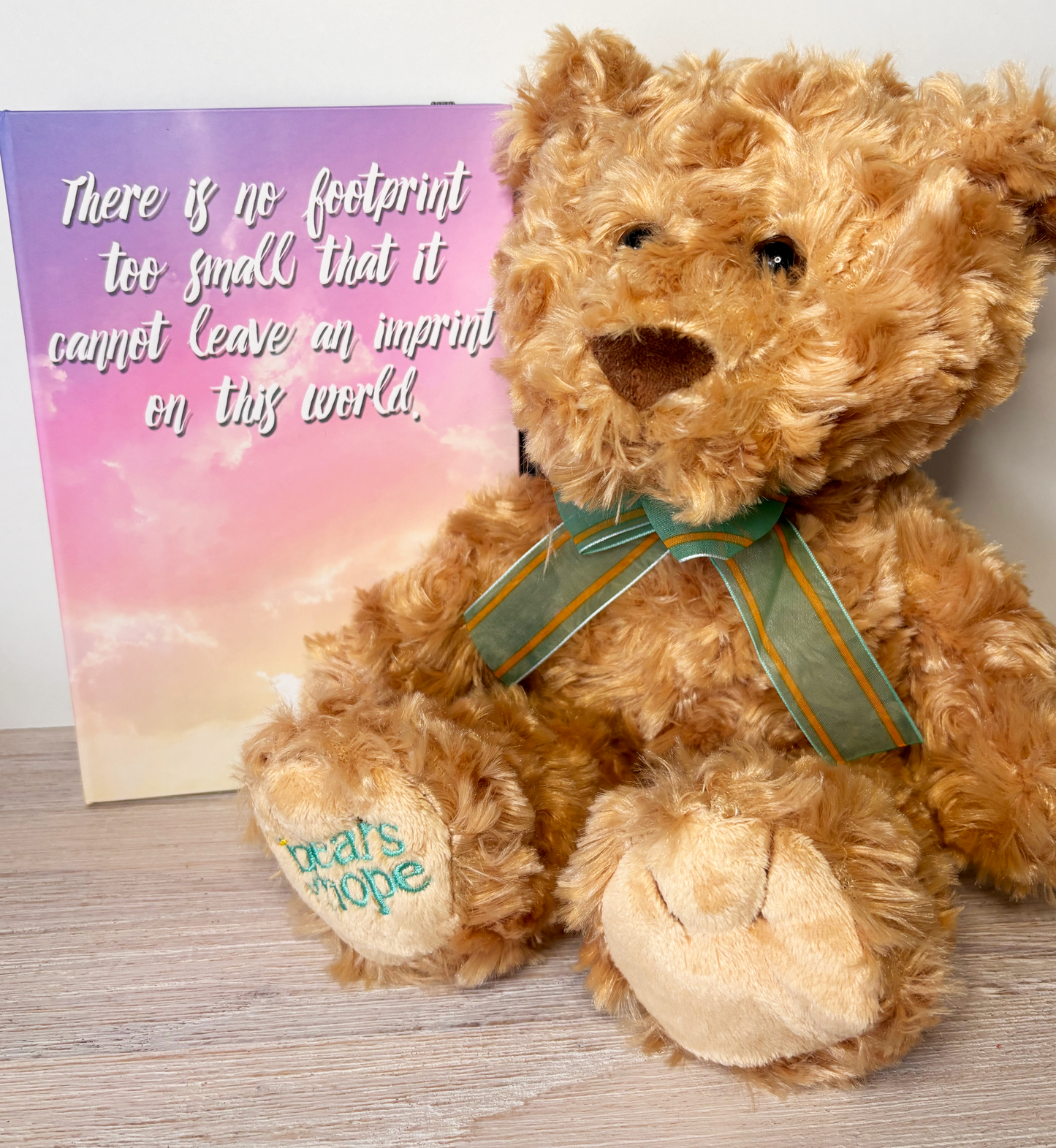Bear Of Hope 'Xavier' & Journal